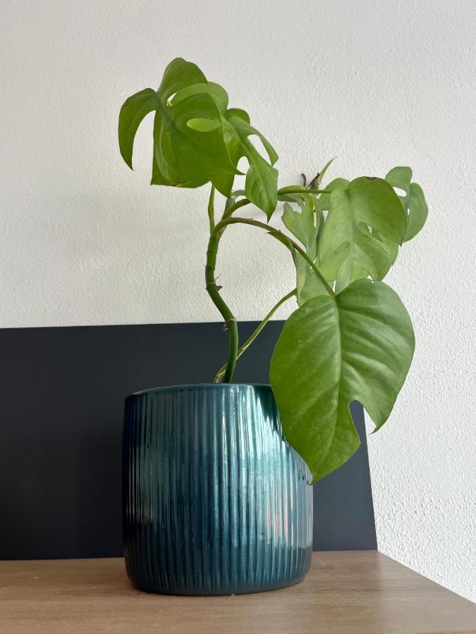 Monstera I Leilighet Kolín Eksteriør bilde